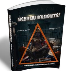 Hebrew Ysraelites From Plantation Slaves to Prison Inmates