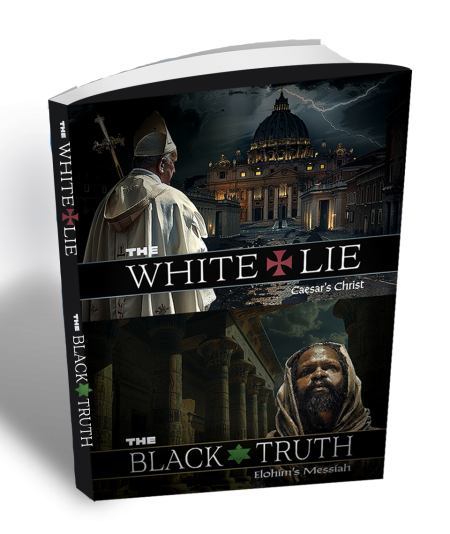 The White Lie The Black Truth
