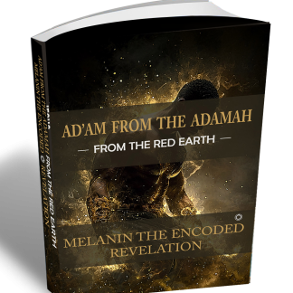 Ad'am from the Adamah: Melanin the Encoded Revelation